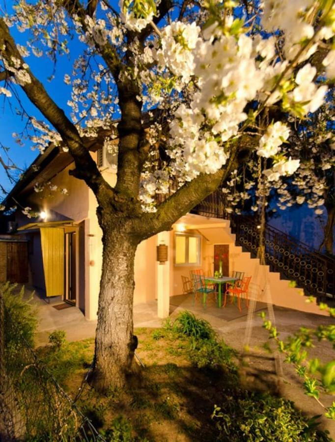 Cherry Tree Art House Belgrad Exterior foto